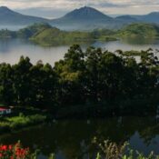Key words Uganda Chimpanzees Gorilla Safari Trip Vacation Shoebill bwindi Kibale